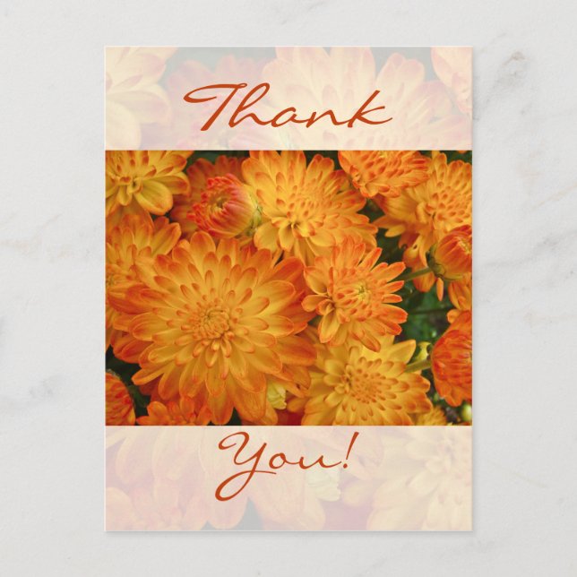 Carte Postale Merci - Chrysanthèmes orange de feu (Devant)