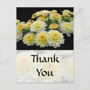 Carte Postale Merci - Citron Meringue Chrysanthèmes