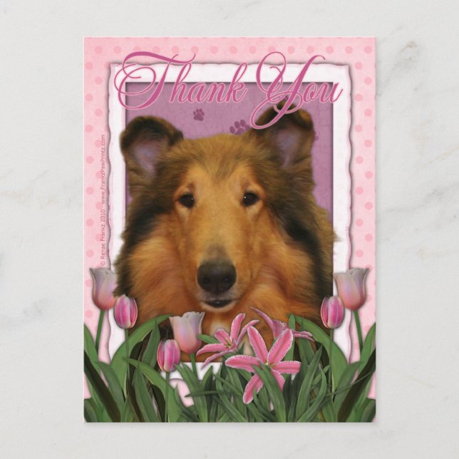 Carte Postale Merci - Collie - Natalie (Devant)