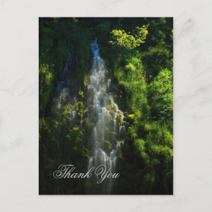CARTE POSTALE MERCI DE CASCADE