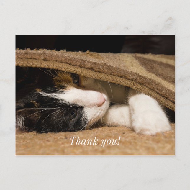 Carte Postale Merci de jouer sous le tapis (Devant)