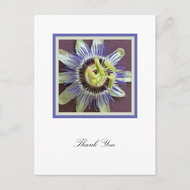Carte postale Merci de la Passion Fleur Sympathie (Devant)
