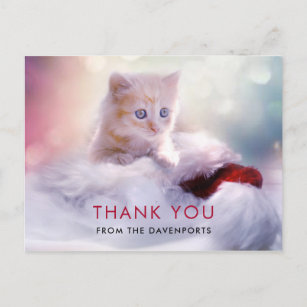 Cartes Postales Merci Chat Originales Zazzle Fr