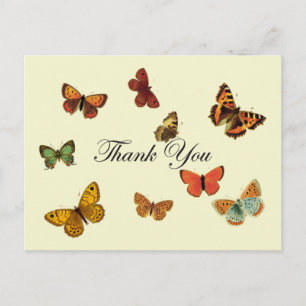 Carte Postale Merci des papillons