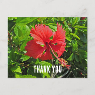Carte Postale Merci Fleur Tropicale Rose Clair Floral