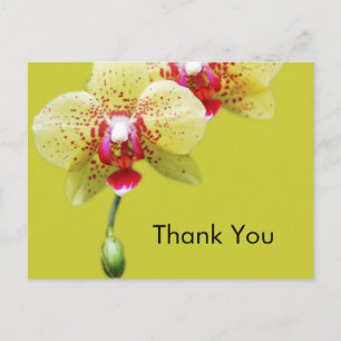 Carte Postale merci, fleurs d'orchidées jaunes
