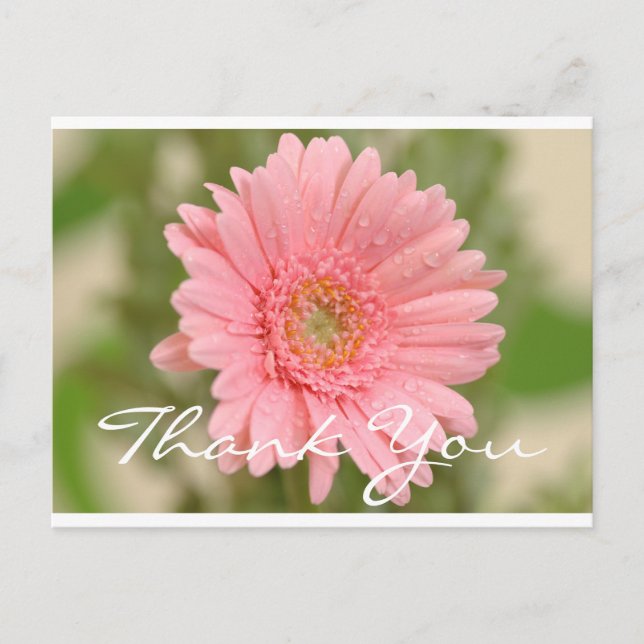 Carte Postale Merci floral rose Gerbera Fleur marguerite (Devant)