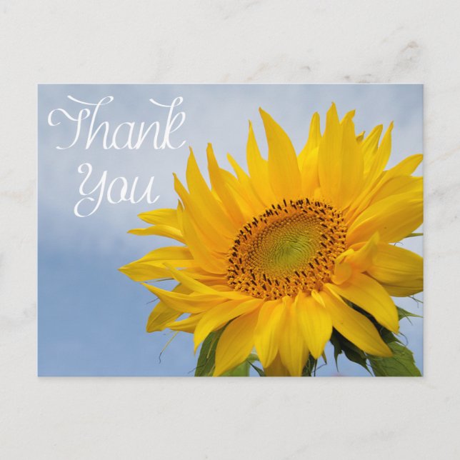 Carte Postale Merci Floral Tournesol Jaune Fleur bleu ciel (Devant)