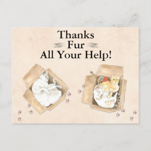 Carte Postale Merci Fur Toute Votre Aide ! Chats en boîtes, Merc