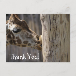 Carte Postale Merci Giraffe Kisses