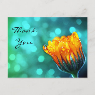 Carte Postale Merci, Golden Marigold sur Turquoise Bokeh