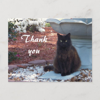 Carte postale Merci Kitty