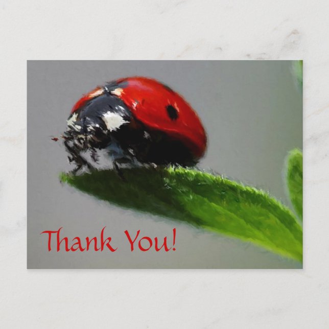 Carte Postale Merci LadyBug ! (Devant)