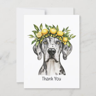 Carte Postale Merci Merle Grand Danois Chien Couronne de Citron