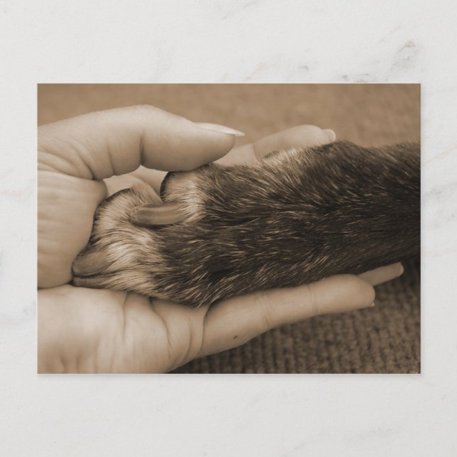 Carte Postale Merci, mon ami. (Devant)