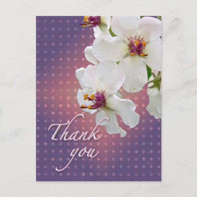 Carte Postale Merci Moth Mullein Fleur sauvage (Devant)