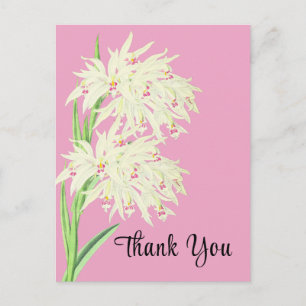 Carte postale Merci Orchid Floral
