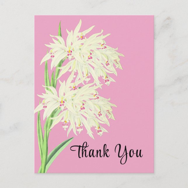 Carte postale Merci Orchid Floral (Devant)
