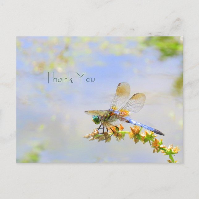 Carte postale Merci Pastel Dragonfly (Devant)