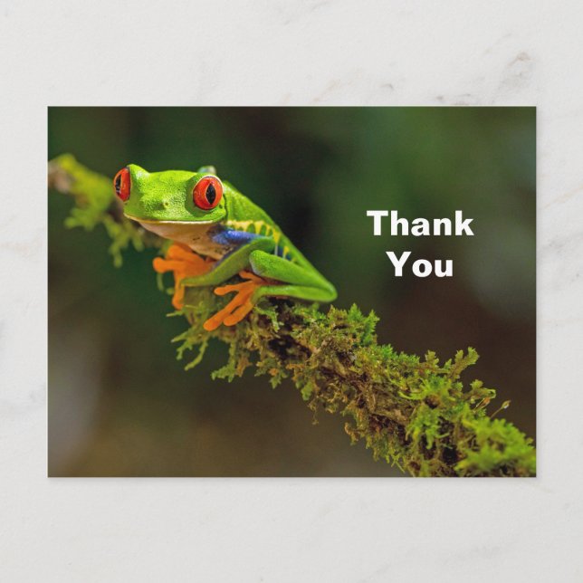 Carte Postale Merci photo de grenouille à arbre rouge (Devant)