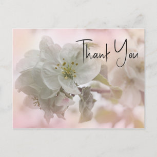Carte Postale Merci photo en fleurs de pomme blanche