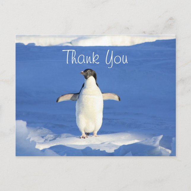 Carte Postale Merci Pingouin Drôle (Devant)