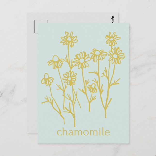 Carte Postale Merci Pour Le Soutien De Mon Entreprise Chamomile (Devant / Derrière)