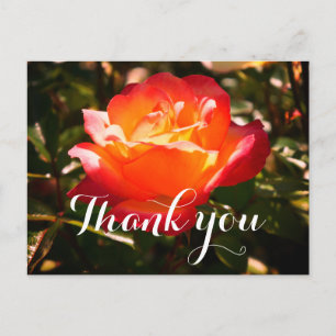 Carte postale Merci Rainbow Sorbet Rose #5