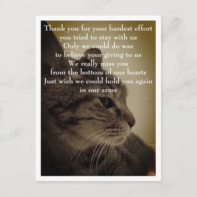 Carte Postale Merci & RIP  (Devant)