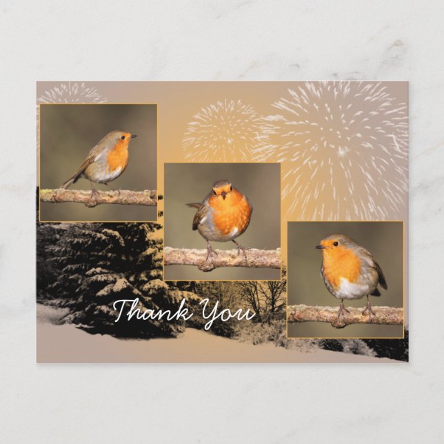 Carte postale Merci Robin Tryptych (Devant)