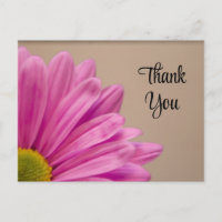 Merci rose Gerber Daisy