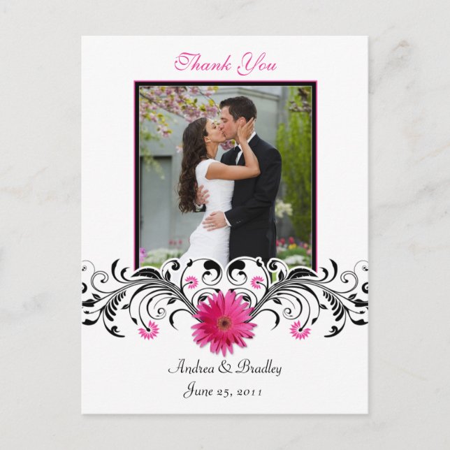 Carte postale Merci rose Gerbera Daisy (Devant)