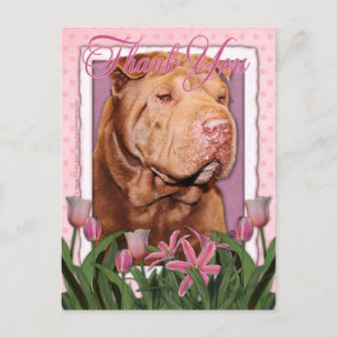 Carte Postale Merci - Shar Pei - Lucky