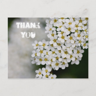 Carte postale Merci Spiraea