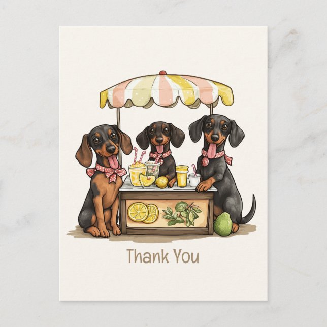 Carte Postale Merci Stand de Limonade des Chiens Dachshund (Devant)