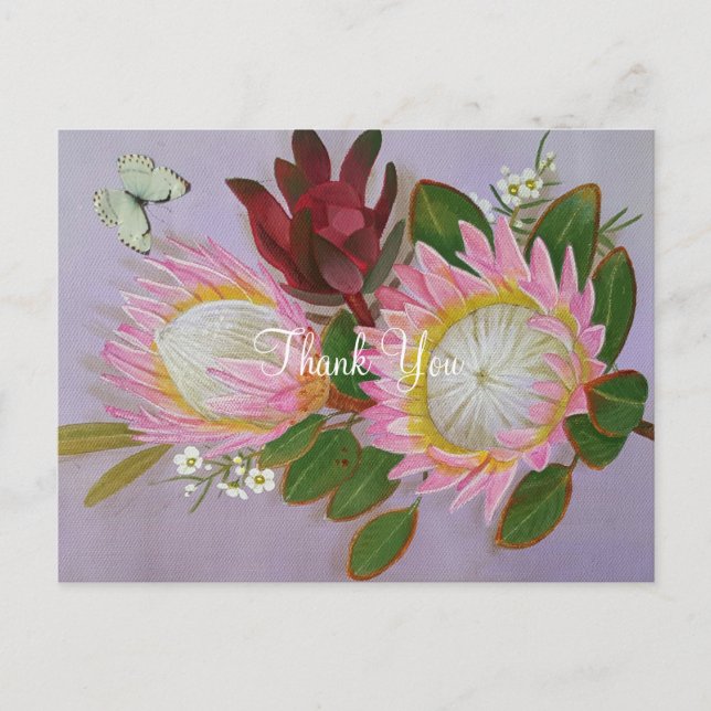 Carte Postale Merci sud-africain des protéines (Devant)