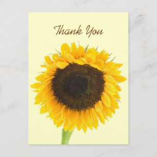 Carte postale Merci tournesol