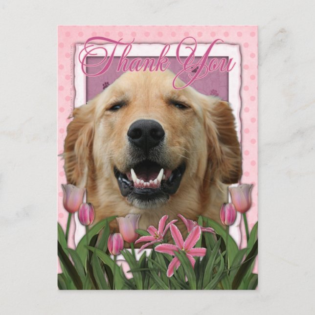 Carte Postale Merci - Tulipes roses - Golden Retriever - Mickey (Devant)