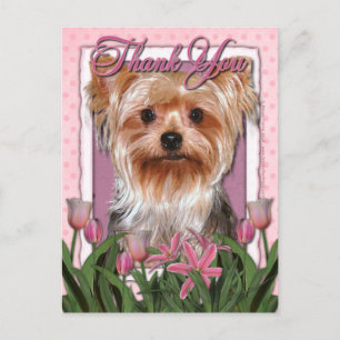Carte Postale Merci - Tulipes roses - Yorkshire Terrier