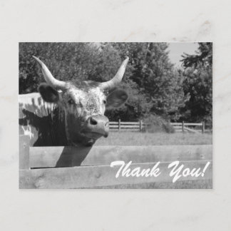 Carte postale Merci vache sceptique