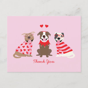 Carte Postale Merci Valentines Day American Pit Bull Terrier