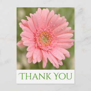 Carte Postale Merci vert rose Gerbera Fleur marguerite