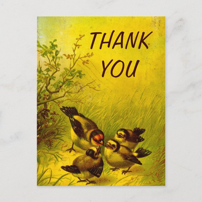 Carte postale Merci vintage Éperviers peints (Devant)