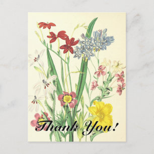 Carte Postale "Merci !" + Vintage Look Fleurs colorées
