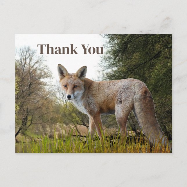 Carte postale Merci Woodland Red Fox (Devant)