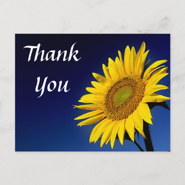 Carte postale Merci Yellow Sunflower Salutation (Devant)
