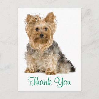 Carte postale Merci Yorkshire Terrier Chien Chien