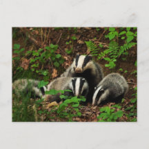 Mère avec le blaireau du bébé