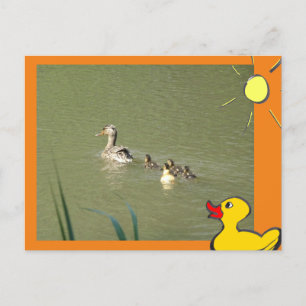 Carte Postale Mère Canard avec Jeunes & Cartons do-it-yourself C
