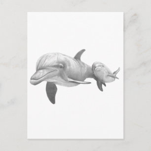 CARTE POSTALE MÈRE DOLPHINS AIME